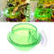 RnBFReptile-Anti-escape-Food-Bowl-Cup-Turtle-Lizard-Worm-Live-Food-Container.jpg