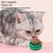 fL8cCat-Toys-Catnip-Wall-Ball-Clean-Mouth-Promote-Digestion-Kitten-Candy-Licking-Snacks-Pet-Mint-Ball.jpg