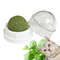 p7MCCat-Toys-Catnip-Wall-Ball-Clean-Mouth-Promote-Digestion-Kitten-Candy-Licking-Snacks-Pet-Mint-Ball.jpg