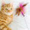 rfIsInteractive-Cat-Toys-Funny-Feather-Teaser-Stick-with-Bell-Pets-Collar-Kitten-Playing-Teaser-Wand-Training.jpg