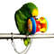 CR9dCute-Pet-Bird-Plastic-Chew-Ball-Chain-Cage-Toy-for-Parrot-Cockatiel-Parakeet.jpg