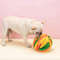 U5rMPet-Dog-Sniffing-Ball-Puzzle-Toys-Colorful-Foldable-Nose-Sniff-Toy-Increase-Iq-Training-Food-Slow.jpg