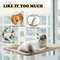 suSsNew-Cat-Hammock-Window-Hanger-Cat-Hammock-Washable-Detachable-Pet-Bed-Suction-Shelf-Bag-Beds-Seat.jpg