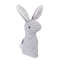 LMEf2024-New-Pet-Squeaky-Funny-Dogs-Animal-Shape-Toys-Gift-Set-Large-Rabbit-Honking-For-Dogs.jpg