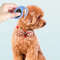 3WR3New-Cat-Dog-Comb-Pet-Open-Knot-Comb-Cat-Puppy-Hair-Fur-Shedding-Grooming-Trimmer-Comb.jpg