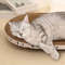 xQ2dCorrugated-Cat-Scratcher-Cat-Scrapers-Round-Oval-Grinding-Claw-Toys-for-Cats-Wear-Resistant-Cat-Bed.jpg