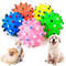 wiB2Round-Dog-Ball-Toy-Durable-Puppy-Training-Ball-Decompression-Display-Mold-Squeaky-Interactive-Training-Pet-Ball.jpg