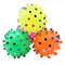 bWO0Round-Dog-Ball-Toy-Durable-Puppy-Training-Ball-Decompression-Display-Mold-Squeaky-Interactive-Training-Pet-Ball.jpg