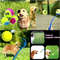 5xdVPet-Throwing-Stick-Dog-Hand-Throwing-Ball-Toys-Pet-Tennis-Launcher-Pole-Outdoor-Activities-Dogs-Training.jpg