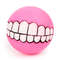 ETG8Funny-Silicone-Pet-Dog-Cat-Toy-Ball-Chew-Treat-Holder-Tooth-Cleaning-Squeak-Toys-Dog-Puppy.jpg