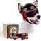 7iBEDog-Sunglasses-Pet-Helmet-Set-with-Dog-Goggles-Dust-Wind-UV-Protection-Dog-Glasses-Dog-Helmet.jpg