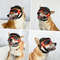 KAbNDog-Sunglasses-Pet-Helmet-Set-with-Dog-Goggles-Dust-Wind-UV-Protection-Dog-Glasses-Dog-Helmet.jpg