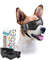 LwYdDog-Sunglasses-Pet-Helmet-Set-with-Dog-Goggles-Dust-Wind-UV-Protection-Dog-Glasses-Dog-Helmet.jpg