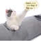 q4svCollapsible-Cat-Tunnel-Kitten-Play-Tube-for-Large-Cats-Dogs-Bunnies-with-Ball-Fun-Cat-Toys.jpg