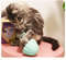 QE40ATUBAN-Cat-Laser-Toy-Pet-Automatic-Laser-Cat-Toys-for-Indoor-Cats-Kitten-Tumbler-Interaction-Toys.jpg