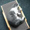 m7P7Wooden-Cat-Scratcher-Scraper-Detachable-Lounge-Bed-3-In-1-Scratching-Post-For-Cats-Training-Grinding.jpg