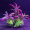 1SB4Various-and-types-of-artificial-aquarium-decorative-plants-aquatic-plants-aquarium-decorative-accessories-ornaments.jpg