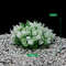 z0Nv12-Kinds-PVC-Artificial-Aquarium-Decor-Plants-Water-Weeds-Ornament-Aquatic-Plant-Fish-Tank-Grass-Decoration.jpg