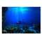 edHf5-Size-3d-Aquarium-Background-Poster-PVC-Adhesive-Sticker-Fish-Tank-Underwater-World-Paper-Landscape-Wallpaper.jpg