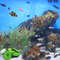 4Ga3Aquarium-Artificial-Coral-Fish-Tank-Landscape-Decoration-Plant-Simulation-Vivid-Soft-Coral-Ornament-Fish-Tank-Decoration.jpg