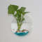krhBFish-Tank-Clear-Transparent-Wall-Mounted-Acrylic-Creative-Flower-Pot-For-Home-Accessories-Gardening-Aqu-rio.jpg