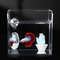 lP28Acrylic-Aquarium-Betta-Mirror-Fish-Tank-Floating-Round-Mirror-For-Fish-Betta-Flowerhorn-Cichlid-Training-4cm.jpg