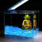 FpCE50-100Pcs-Artificial-Noctilucent-Stone-with-Colorful-Luminescence-Aquarium-Fish-Tank-Landscaping-Vase-Sidewalk-Decoration.jpg