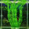 8f5XDelysia-King-Aquarium-fish-tank-decoration-aquatic-plants-artificial-green-grass.jpg