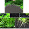 kC2T100g-Anubias-Aquarium-Plant-Seed-Soil-Aquarium-Planted-Substrate-Sand-Soil-Fertilizer-Mud-for-Fish-Tank.jpg