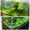 wQWo100g-Anubias-Aquarium-Plant-Seed-Soil-Aquarium-Planted-Substrate-Sand-Soil-Fertilizer-Mud-for-Fish-Tank.jpg