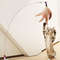 S9tE1Pc-Cat-Toy-Stick-Feather-Wand-With-Bell-Mouse-Cage-Toys-Plastic-Artificial-Colorful-Cat-Teaser.jpg