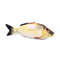 iFAjCat-Toy-Training-Entertainment-Fish-Plush-Stuffed-Pillow-Simulation-Fish-Cat-Toys-Fish-Interactive-Pet-Chew.jpg