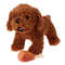 MK28Pet-Dog-Toy-Rubber-Chicken-Leg-Puppy-Sound-Squeaker-Chew-Toys-for-Dogs-Puppy-Cat-Interactive.jpg