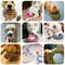 ihEaDurable-Big-Dog-Chew-Rope-Toy-Bite-Resistant-Pet-Toys-for-Medium-Large-Dogs-Golden-Retriever.jpg