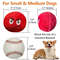 RhXNDog-Toy-Play-Squeakers-Ball-Chewing-Toy-Fetch-Bright-Balls-Dog-Supplies-Puppy-Popular-Toys-Interactive.jpg