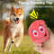 Po8eDog-Toy-Play-Squeakers-Ball-Chewing-Toy-Fetch-Bright-Balls-Dog-Supplies-Puppy-Popular-Toys-Interactive.jpg