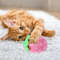 EKQOAnimals-Cartoon-Dog-Toys-Stuffed-Squeaking-Pet-Toy-Cute-Plush-Puzzle-For-Dogs-Cat-Chew-Squeaker.jpg