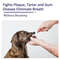 NnFhNatural-Canine-Toothpaste-Whiten-Teeth-And-Eliminate-Bad-Breath-Organic-And-Natural-Peppermint-Extract-For-Dog.jpg