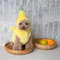 JPC7Pet-Winter-Banana-Transformation-Dress-Funny-Halloween-Dress-Warm-Cat-Dog-Teddy-Pet-Clothing-Plush-Banana.jpg