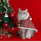 bJFuChristmas-Cat-Hoodie-Warm-Cloak-Outfit-for-Small-Dogs-Cats-CostumeCoat-Clothes-Pet-Santa-Cosplay-Costume.png