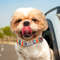 snIxCustom-Large-Dog-Collar-Cute-Print-Personalized-Pet-Collar-Nylon-Puppy-Dogs-ID-Collars-Engraved-Name.jpg