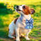 gZjWPersonalized-Nylon-Bowknot-Dog-Collar-Custom-Printed-Chihuahua-French-Bullodog-Collars-Adjutable-Nameplate-For-Small-Medium.jpg