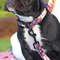 0ZddNylon-Flower-Dog-Collar-Floral-Printed-Dog-Cat-Collars-Adjustable-Puppy-Collar-for-Small-Medium-Large.jpg