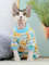 XoRxSphynx-Cat-Clothes-Cute-Cotton-Kitten-Cat-Jumpsuit-Warm-Cats-Overalls-Hoodies-Costumes-For-Sphinx-Devon.jpg