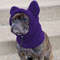d6zjWinter-Pet-Hat-Fleece-Adjustable-Dog-Warm-Hat-Ears-Hoodie-Cold-Weather-Warm-Caps-for-Pets.jpg