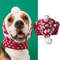 ePazPet-Christmas-Hat-Christmas-Cat-Dog-Santa-Hats-Hat-For-Pet-Small-Dog-Winter-Warm-Hat.jpg