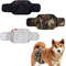 ZjKpDog-Belly-Bands-Male-Dog-Diapers-Washable-Belly-Band-for-Male-Dogs-Comfortable-Reusable-Male-Dog.jpg