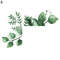 HY8ZDecor-Wall-Paper-Long-Lasting-Wall-Mural-Colorfast-Plant-Flower-Switch-Wall-Decorative-Sticker-Self-adhesive.jpg