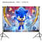 5csBNew-Cartoon-Sonic-Party-Supplies-Boys-Birthday-Party-Disposable-Tableware-Set-Paper-Plate-Cup-Napkins-Baby.jpg