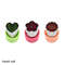 3uOcStar-Heart-Shape-Vegetables-Cutter-Plastic-Handle-3Pcs-Portable-Cook-Tools-Stainless-Steel-Fruit-Cutting-Die.jpg